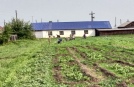 Прополка огорода