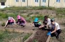 С пользой для всех